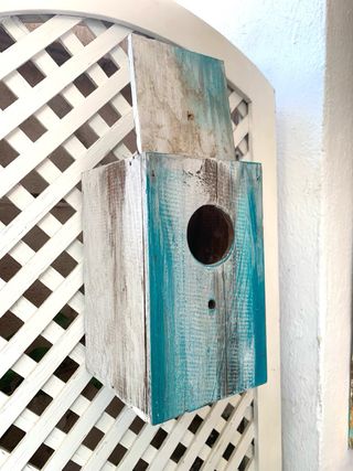 CAJA NIDO ANTIGUA DE MADERA