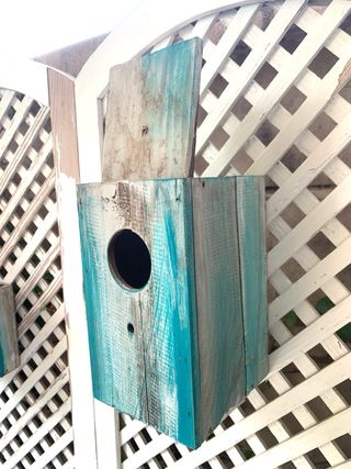 CAJA NIDO ANTIGUA DE MADERA