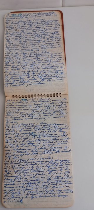 Antiguo diario