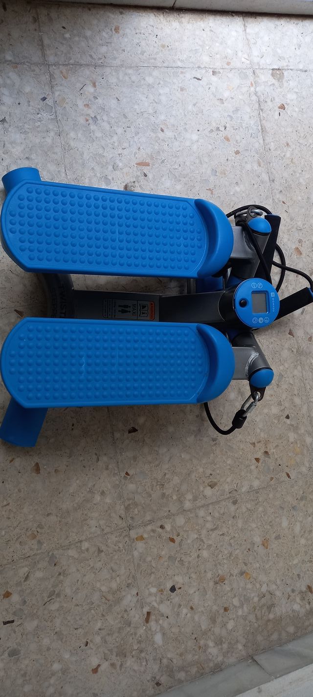 Mini Stepper MS100