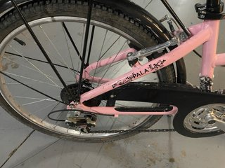 Bici niña/mujer