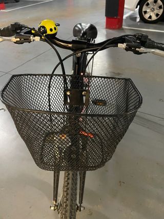 Bici niña/mujer