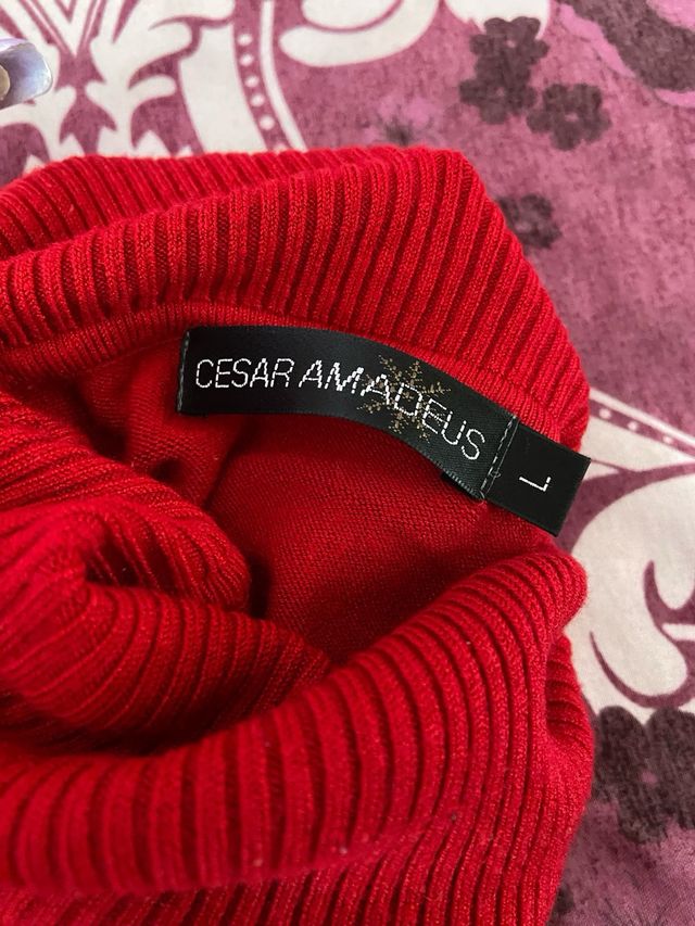 Jersey manga larga y cuello rojo de Cesar Amadeus