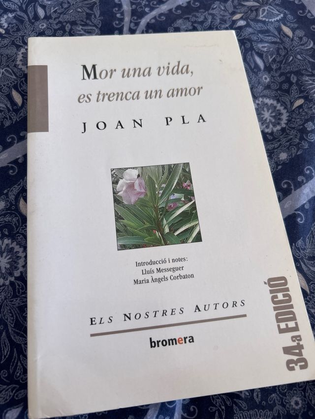 Mor una vida, es trenca un amor