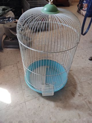Jaula loro