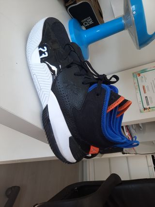 Botas jordan 