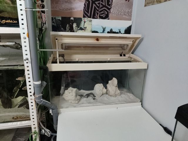 ACUARIO BLANCO 100 LITROS