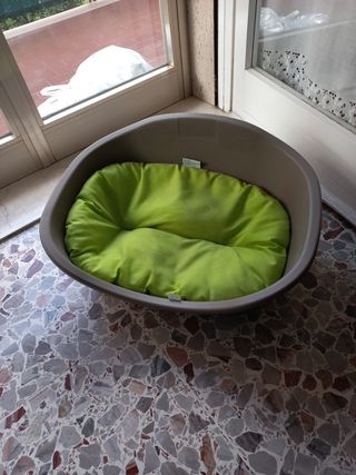 Cuccia con cuscino 