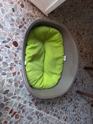Cuccia con cuscino 