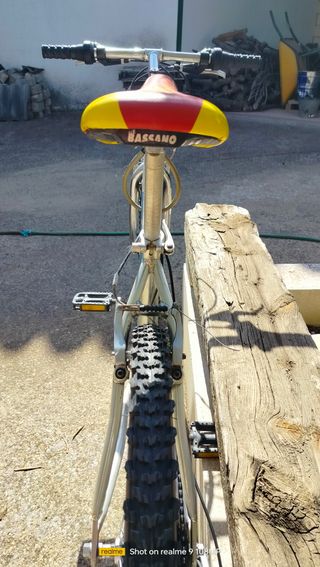 Bicicleta todoterreno/montaña