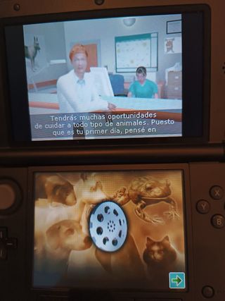 Pet Vet Real Adventures Nintendo DS / 3DS / 2 DS