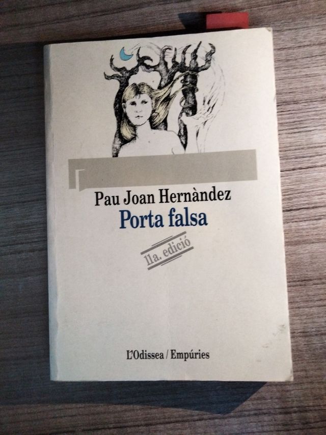 Llibre Porta falsa
