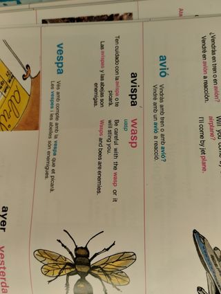 Diccionario de ingles