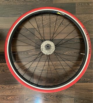 Rodillo Zycle Z Pro + Cubiertas