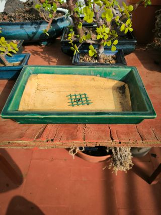 Maceta de bonsai
