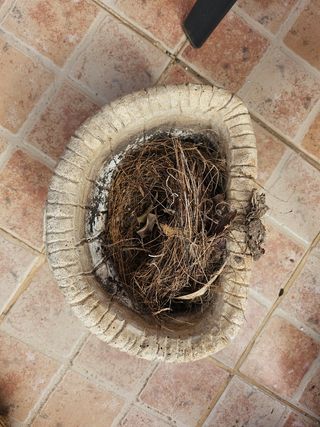 Macetero cerámica jardin 5 c/u