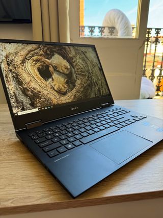 HP OMEN Gaming 15 NVIDIA RTX 2060 16GB RAM Windows