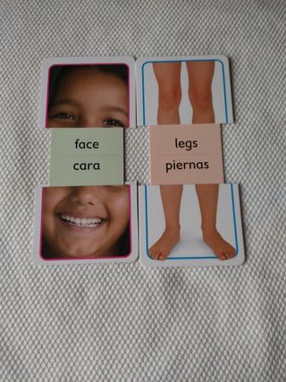 Fichas interactivas (inglés). CUERPO HUMANO.