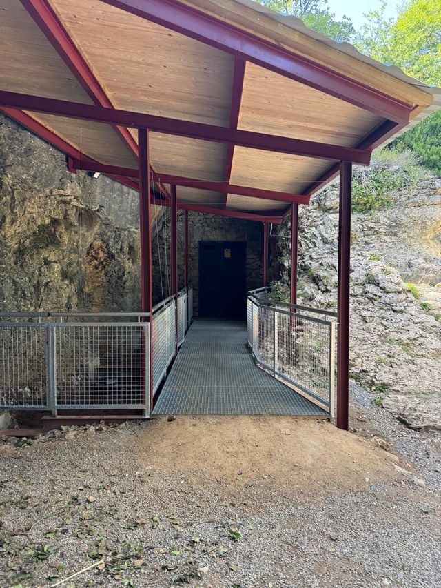 Pergolas y marquesinas