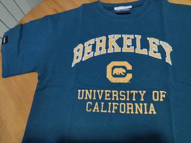 Camiseta manga corta niño Talla 13-14