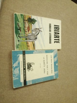 Lote de libros