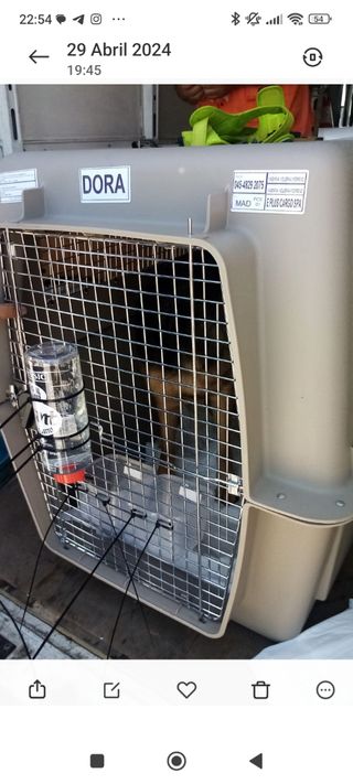 Jaula transportín XL Perros