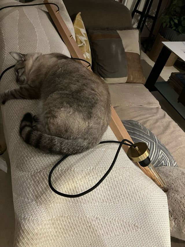 Lampara SSPNSN MAISONS. A SRTNAR