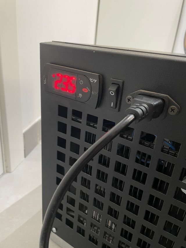 Mini Nevera Starbucks Edición Limitada