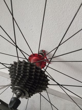 Ruedas Progress A-Carbon