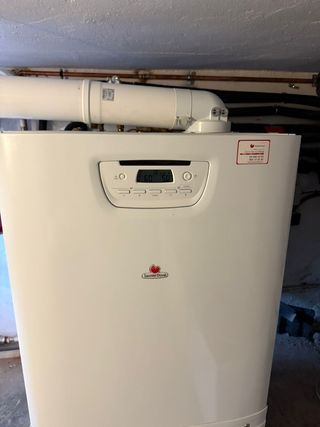 Técnico calderas económico