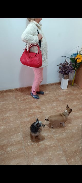 Bolso GLORIA ORTIZ piel