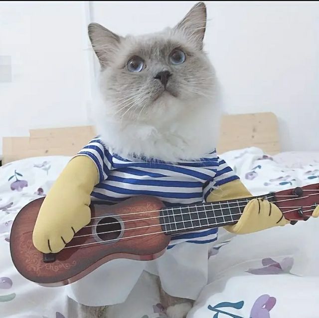 Disfraz de mascota nuevo