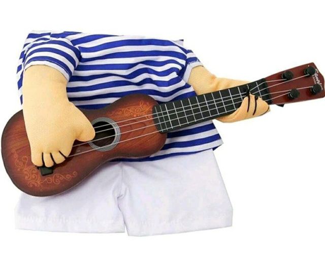 Disfraz de mascota nuevo