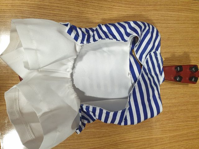 Disfraz de mascota nuevo