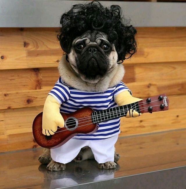 Disfraz de mascota nuevo