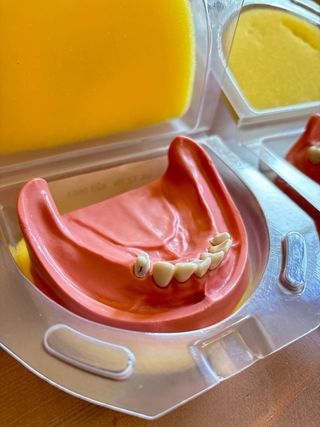 Tipodonto fantoma KAVO parcialemente dentado