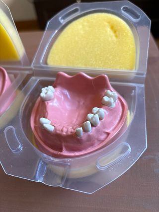 Tipodonto fantoma KAVO parcialemente dentado