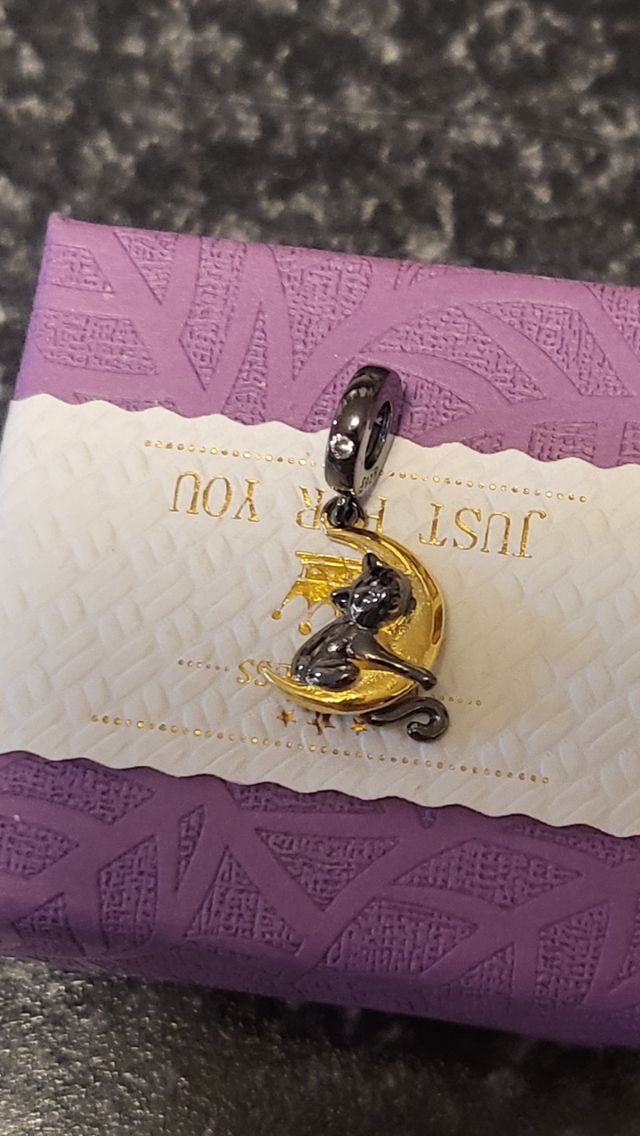 Charm plata gatito subido  la luna