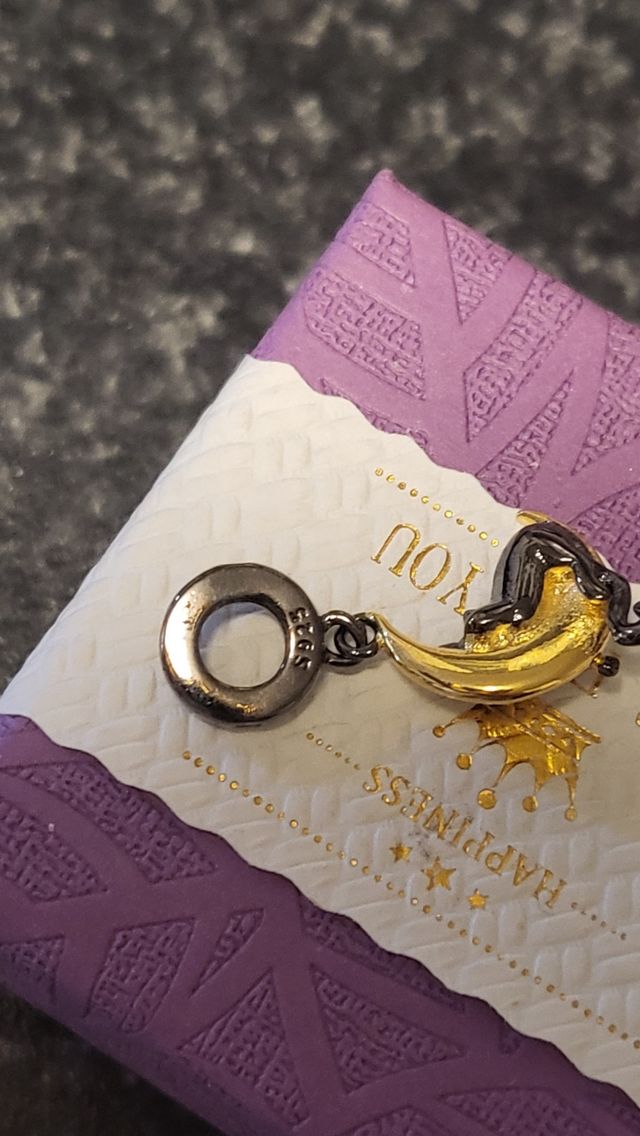 Charm plata gatito subido  la luna