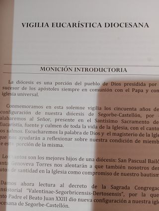 Vigilia Ecuaristica Diocesana ,50 aniversario