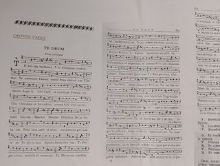 Vigilia Ecuaristica Diocesana ,50 aniversario