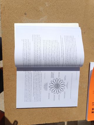 Libro Atención Diversidad 2°E.P UHU