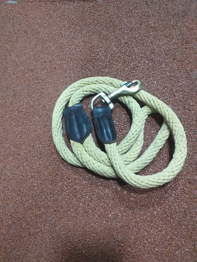 Correas para pasear perros. (4)