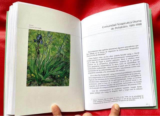 Esquizofrenia, Teresa Huneeus