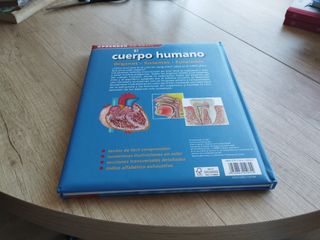 El cuerpo humano órganos sistemas funcio