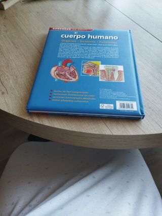 El cuerpo humano órganos sistemas funcio