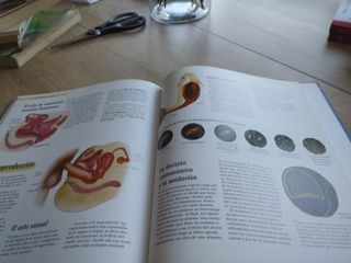 El cuerpo humano órganos sistemas funcio