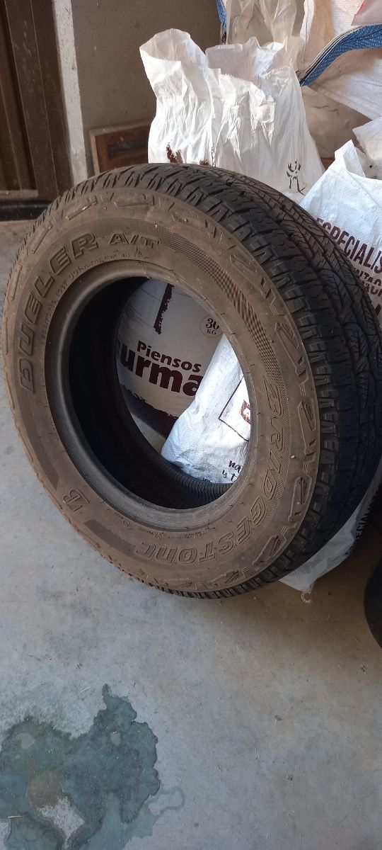 Neumático de todo terreno