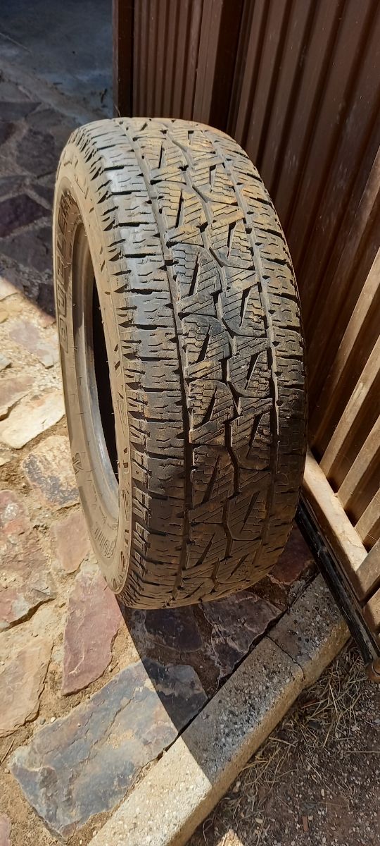 Neumático de todo terreno