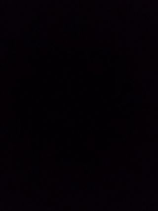 Portes y mudanzas Gabarri